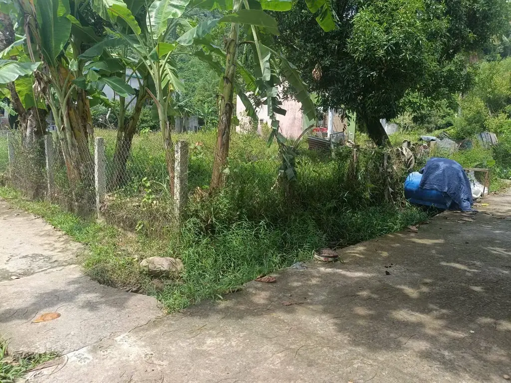 Bán nhà cấp 4 Thôn Nam Yên Xã Hòa Bắc, Hòa Vang – 1.541,4 m², 7,3 tỷ – ảnh 5