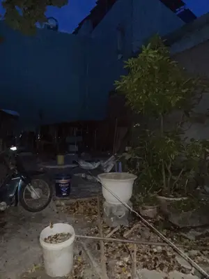Bán đất Kiệt Trường Chinh, Cẩm Lệ – 62,6 m², 2,38 tỷ