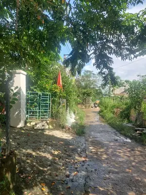 Bán nhà cấp 4 Đông Hà, Hội An – 200 m², 2,4 tỷ – ảnh 3