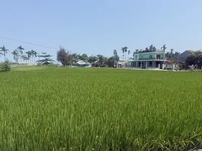 Bán đất Phước Trung Cẩm Kim, Hội An – 256,9 m², 6,5 tỷ