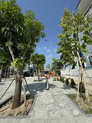 Bán nhà Chính Hữu, Sơn Trà – 103,3 m², 1 tầng, 9,55 tỷ – ảnh 2