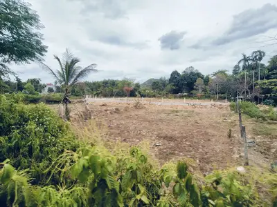 Bán đất Phú Thượng Hòa Sơn, Liên Chiểu – 1.070 m², 1,4 tỷ – ảnh 2