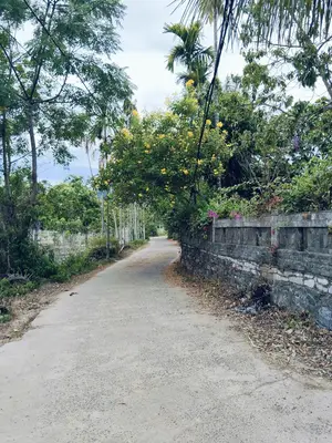 Bán đất Phú Thượng Hòa Sơn, Liên Chiểu – 1.070 m², 1,4 tỷ – ảnh 9