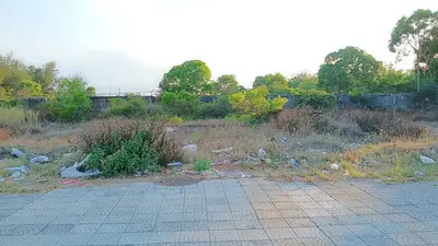 Bán đất Võ Nguyên Giáp, Ngũ Hành Sơn – 306 m², 57 tỷ – ảnh 3