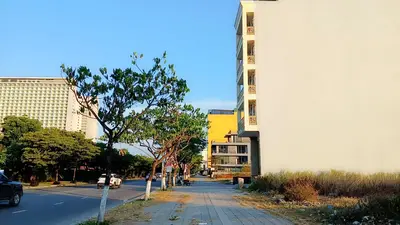Bán đất Võ Nguyên Giáp, Ngũ Hành Sơn – 306 m², 57 tỷ – ảnh 5