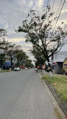 Bán nhà mặt tiền Lý Nhật Quang, Sơn Trà – 98 m², 1 tầng, 9,7 tỷ – ảnh 5