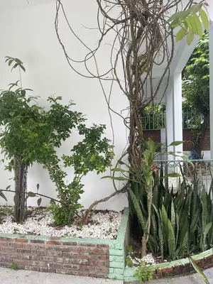 Bán nhà Kiệt Nguyễn Duy Hiệu Sơn Phong, Hội An – 709,9 m², 7 tầng, 39 tỷ – ảnh 12