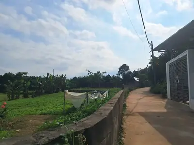 Bán đất Thôn Hòa Khương Đông, Hòa Vang – 1.186 m², 3,5 tỷ – ảnh 2