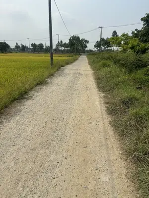Bán đất Thôn Là Bông Xã Hòa Tiến, Cẩm Lệ – 183 m², 1,52 tỷ – ảnh 3