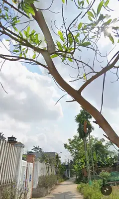 Bán đất Thôn Là Bông Xã Hòa Tiến, Cẩm Lệ – 183 m², 1,52 tỷ – ảnh 4
