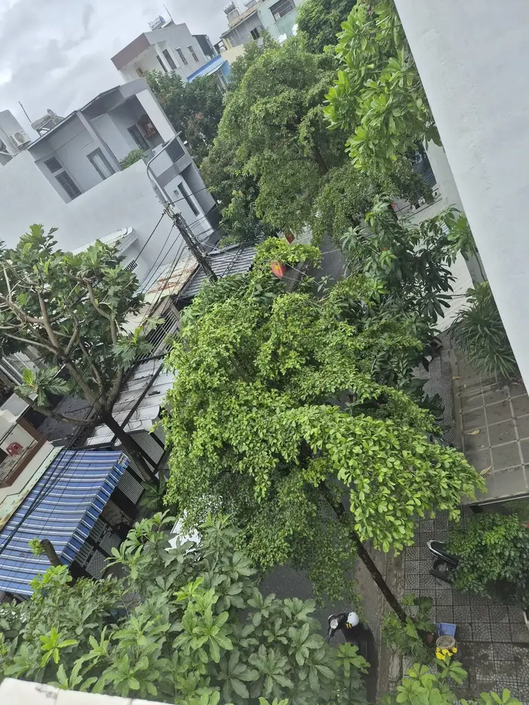 Bán nhà Nại Thịnh 6, Sơn Trà – 60 m², 3 tầng, 6,95 tỷ – ảnh 3