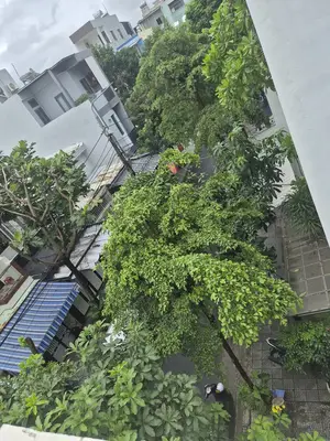 Bán nhà Nại Thịnh 6, Sơn Trà – 60 m², 3 tầng, 6,95 tỷ – ảnh 3