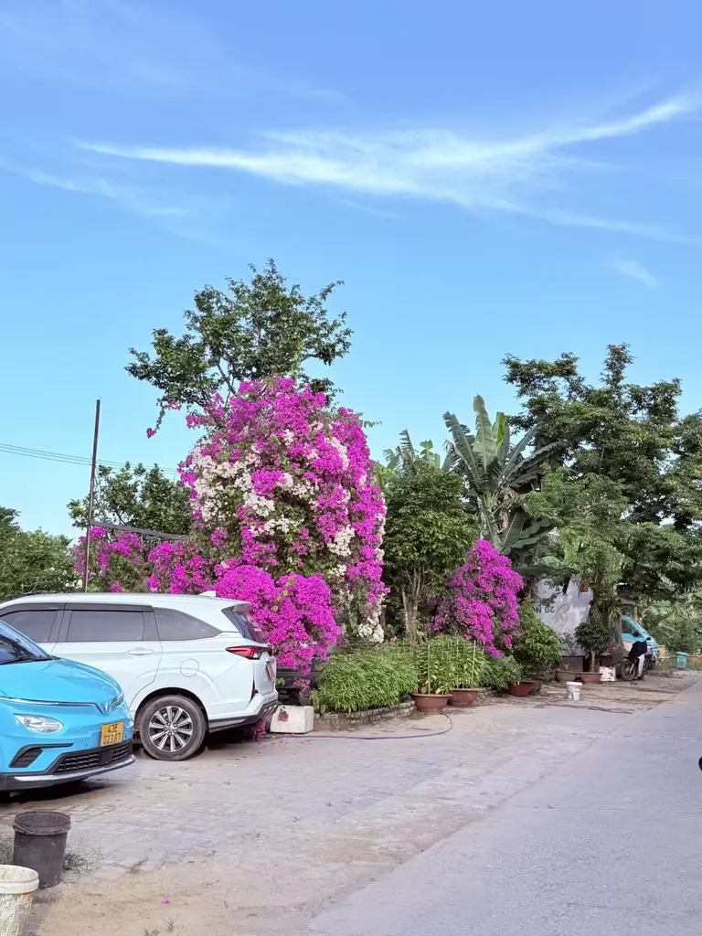 Bán đất Kiệt Tôn Đản, Cẩm Lệ – 50 m², 2,5 tỷ – ảnh 3