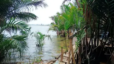 Bán đất Kiệt Nguyễn Tri Phương, Cẩm Nam, Hội An – 400 m², 10,9 tỷ – ảnh 2