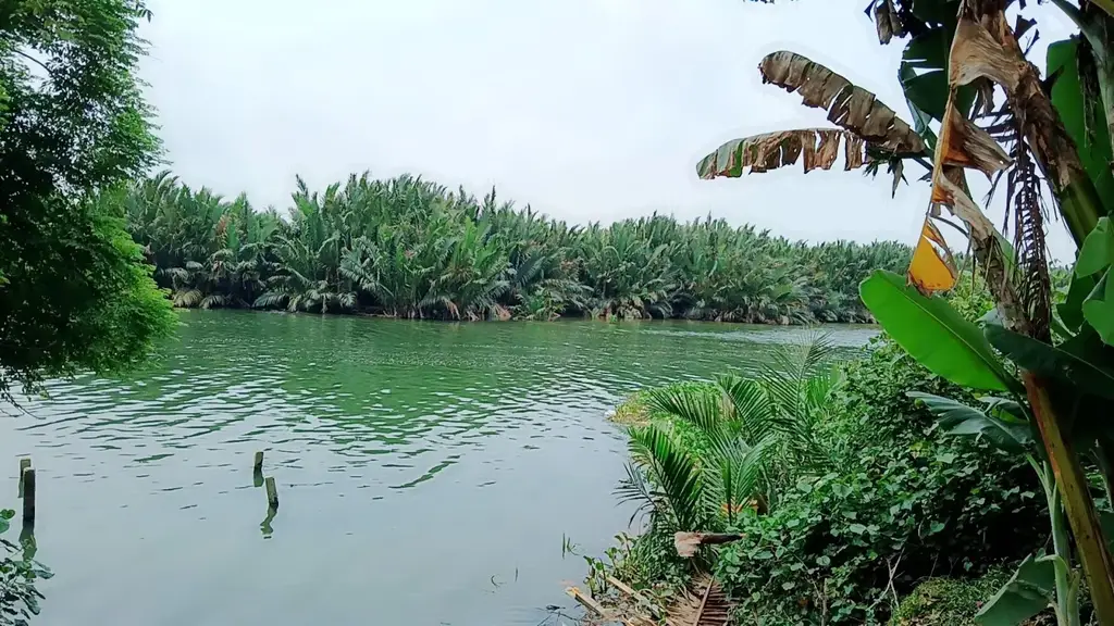 Bán đất Kiệt Nguyễn Tri Phương, Cẩm Nam, Hội An – 400 m², 10,9 tỷ – ảnh 5