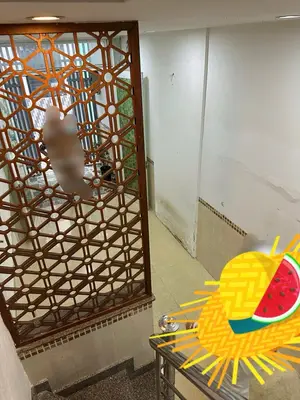 Bán nhà Đinh Tiên Hoàng, Thanh Khê – 23 m², 2 tầng, 2,35 tỷ – ảnh 3