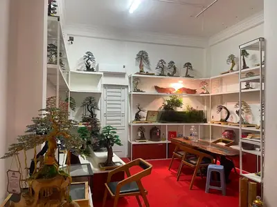 Bán nhà mặt tiền 2 tháng 9, Hải Châu – 125 m², 4 tầng, 28,5 tỷ