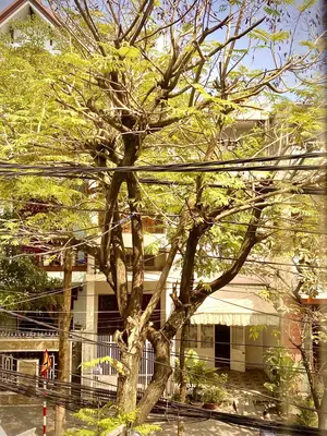 Bán nhà mặt tiền Trần Xuân Lê, Thanh Khê – 83,7 m², 2 tầng, 7,4 tỷ – ảnh 4