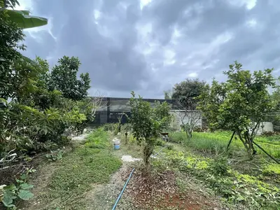 Bán nhà cấp 4 mặt tiền Thôn Hà Tây 2, Quảng Nam (khu khác) – 1.387 m², 13 tỷ