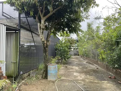 Bán nhà cấp 4 mặt tiền Thôn Hà Tây 2, Quảng Nam (khu khác) – 1.387 m², 13 tỷ – ảnh 2