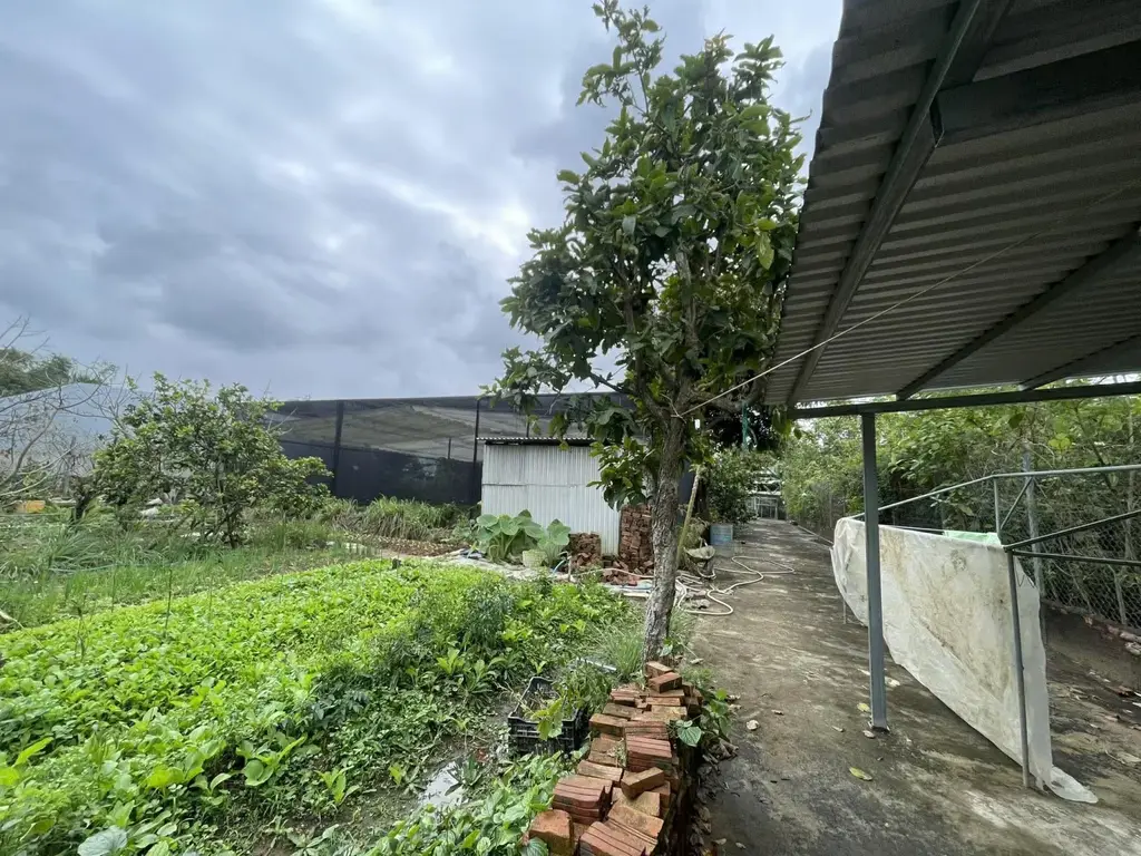 Bán nhà cấp 4 mặt tiền Thôn Hà Tây 2, Quảng Nam (khu khác) – 1.387 m², 13 tỷ – ảnh 5