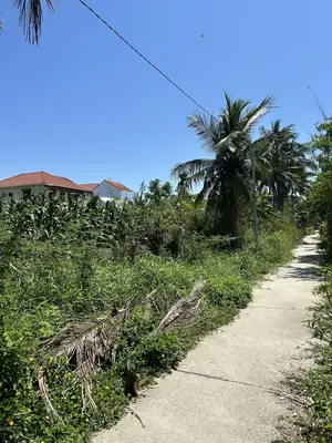 Bán đất Nguyễn Tri Phương, Hội An – 379 m², 10,2 tỷ – ảnh 3