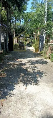 Bán đất Hòa Liên, Liên Chiểu – 209 m², 1,99 tỷ