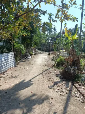 Bán đất Hòa Liên, Liên Chiểu – 209 m², 1,99 tỷ – ảnh 2