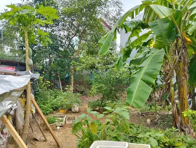 Bán đất Kiệt Đồng Xoài, Liên Chiểu – 100 m², 650 triệu