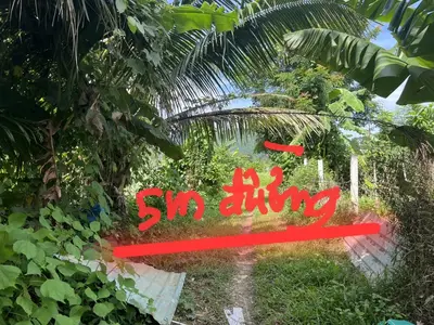 Bán đất mặt tiền Thôn Nam Yên Xã Hòa Bắc, Hòa Vang – 588,1 m², 3,7 tỷ