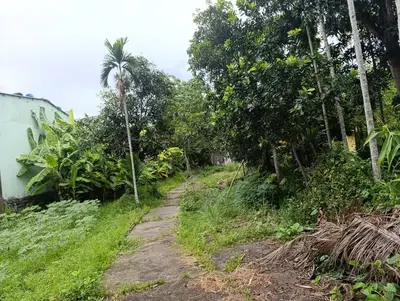 Bán đất Thôn Tây An xã Hòa Châu, Hòa Vang – 886 m², 6 tỷ