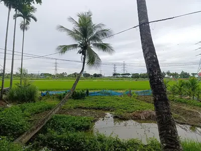 Bán đất Thôn Tây An xã Hòa Châu, Hòa Vang – 886 m², 6 tỷ – ảnh 2