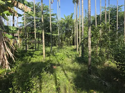 Bán đất Duy Thành – Duy Nghĩa, Hội An – 1.360 m², 9,6 tỷ