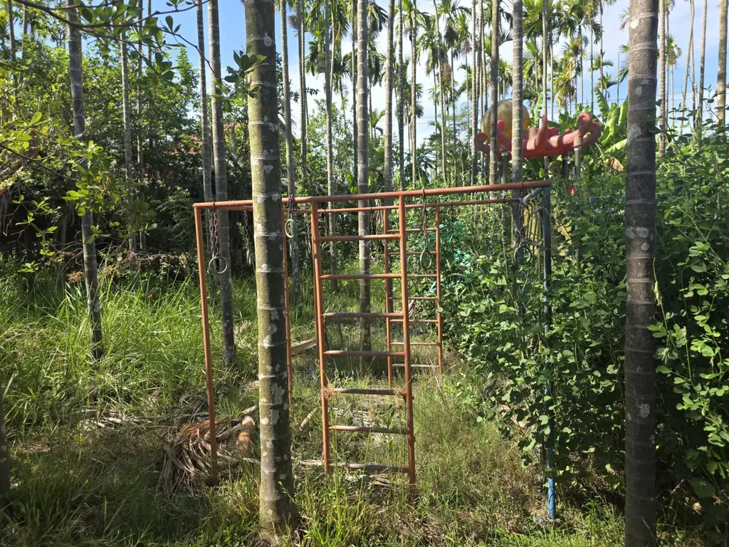Bán đất Duy Thành – Duy Nghĩa, Hội An – 1.360 m², 9,6 tỷ – ảnh 2