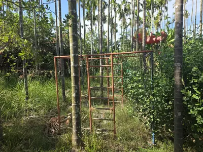 Bán đất Duy Thành – Duy Nghĩa, Hội An – 1.360 m², 9,6 tỷ – ảnh 2