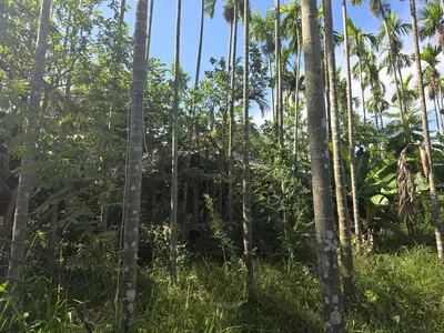 Bán đất Duy Thành – Duy Nghĩa, Hội An – 1.360 m², 9,6 tỷ – ảnh 4