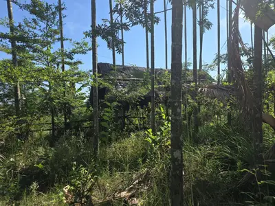 Bán đất Duy Thành – Duy Nghĩa, Hội An – 1.360 m², 9,6 tỷ – ảnh 6