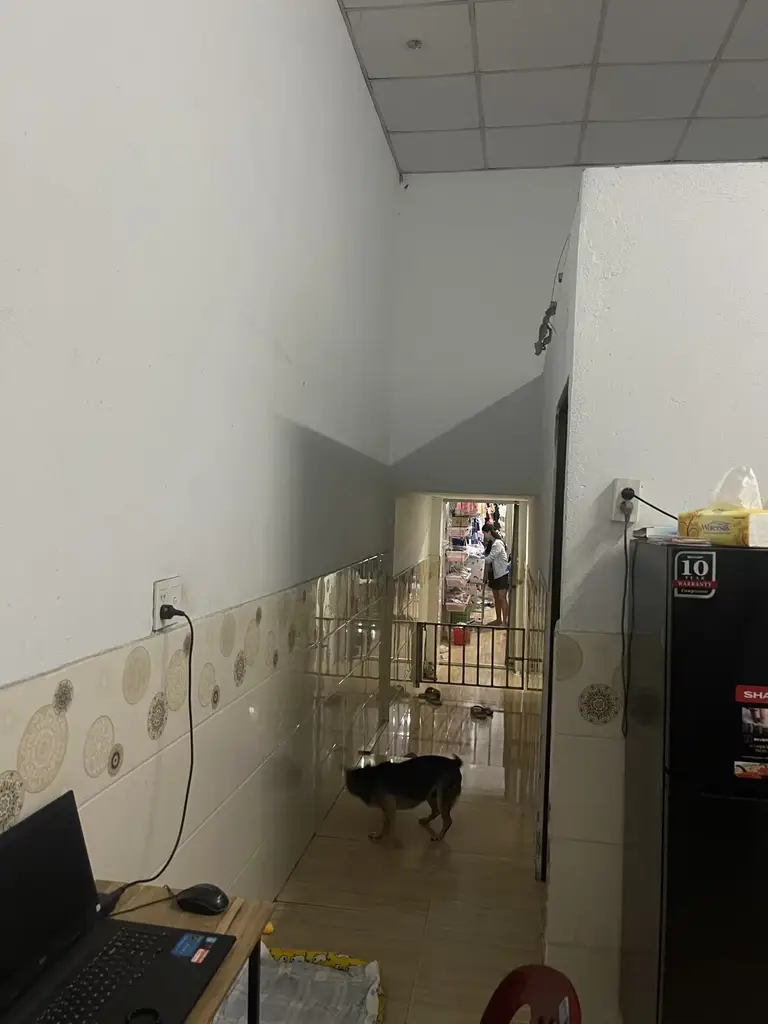 Bán nhà cấp 4 mặt tiền Mẹ Suốt, Liên Chiểu – 95 m², 6,8 tỷ – ảnh 3