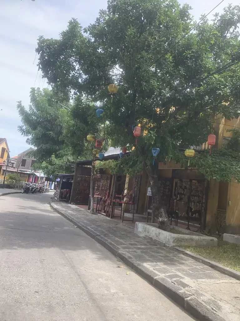 Bán nhà cấp 4 mặt tiền Nguyễn Thị Minh Khai, Hội An – 260 m², 40 tỷ – ảnh 5