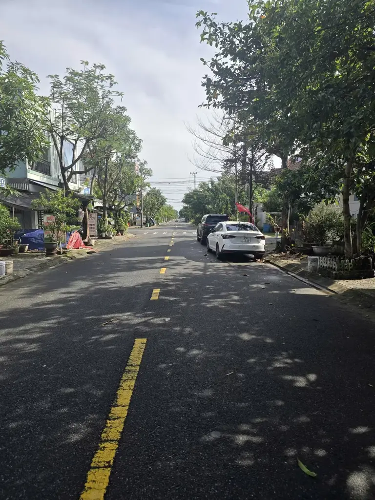 Bán đất mặt tiền Nguyễn Quang Lâm, Cẩm Lệ – 256 m², 11 tỷ – ảnh 3