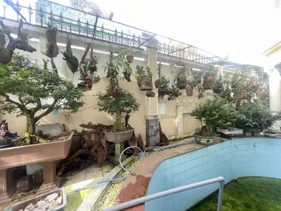 Bán nhà mặt tiền Lưu Quang Thuận, Ngũ Hành Sơn – 643 m², 2 tầng, 85 tỷ – ảnh 4