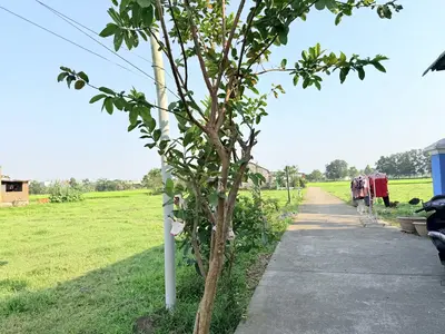Bán đất Thôn Phú Quý xã Đại Hiệp huyện Đại Lộc, Quảng Nam (khu khác) – 140 m², 880 triệu