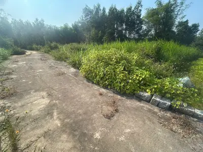Bán đất Thôn Phước Đức, Quế Sơn Trung, Đà Nẵng, Quảng Nam (khu khác) – 146 m², 396 triệu – ảnh 2