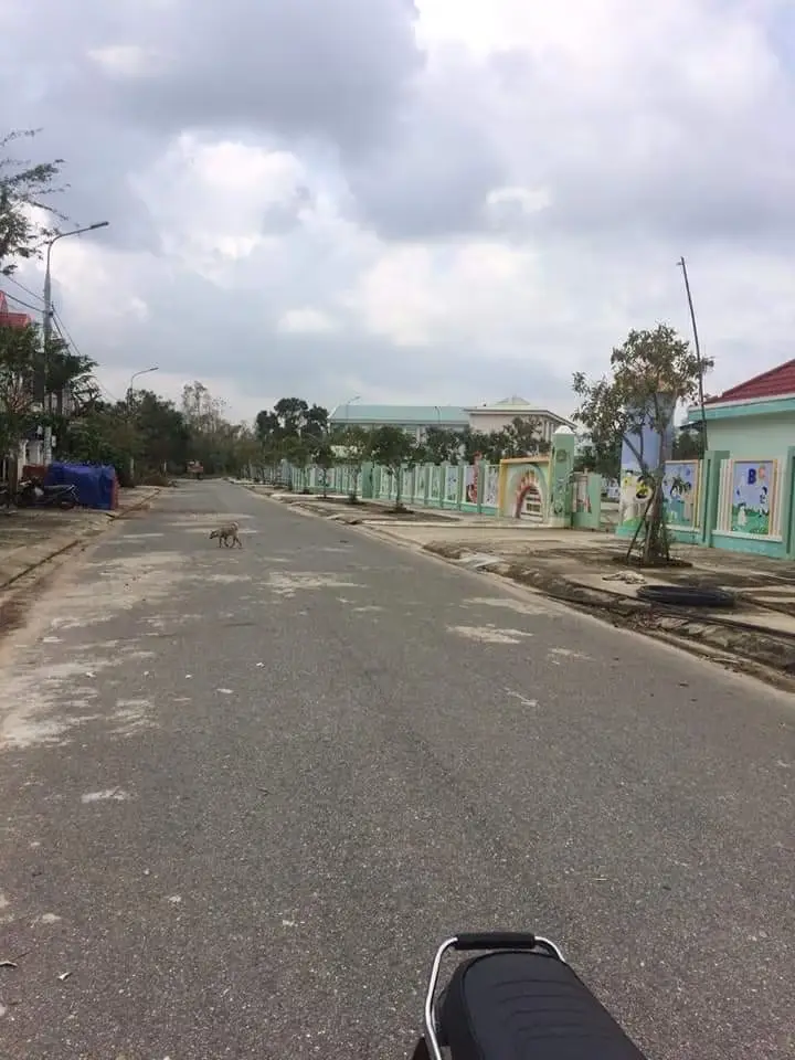 Bán đất Khu dân cư Trung tâm Hành chính Hòa Thuận (Lô A, Quảng Nam (khu khác) – 285 m², 5,2 tỷ – ảnh 5