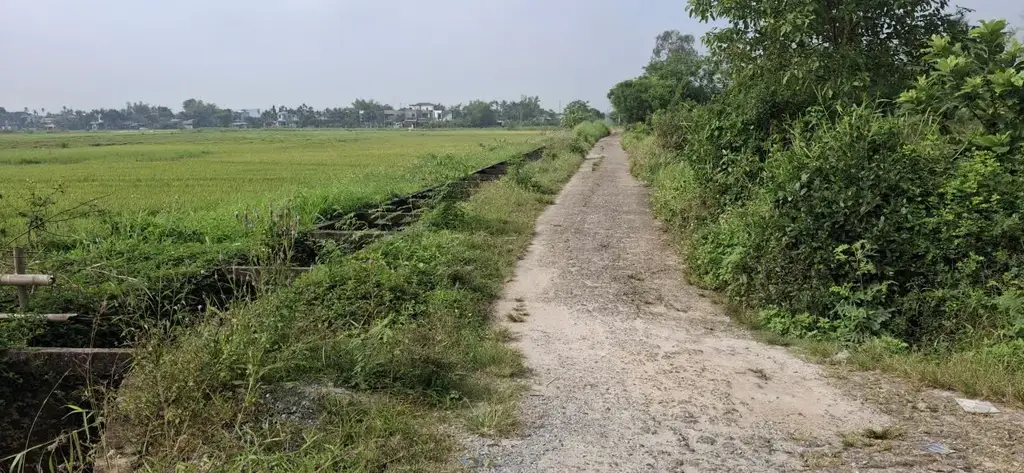Bán đất Quan Châu, Hòa Châu, Hòa Vang – 393 m², 800 triệu – ảnh 5