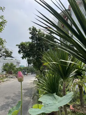 Bán nhà mặt tiền Mộc Sơn 2, Ngũ Hành Sơn – 100 m², 2 tầng, 6,5 tỷ – ảnh 2