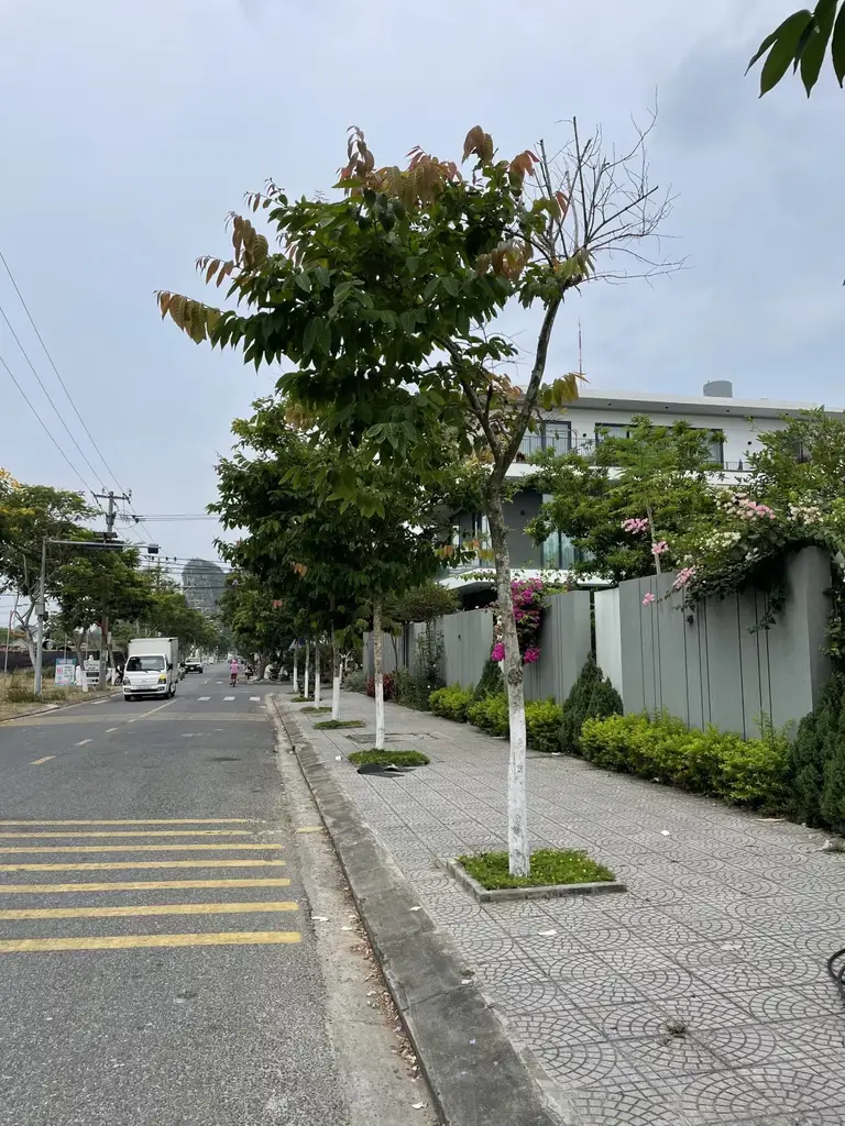 Bán nhà mặt tiền Mộc Sơn 2, Ngũ Hành Sơn – 100 m², 2 tầng, 6,5 tỷ – ảnh 5