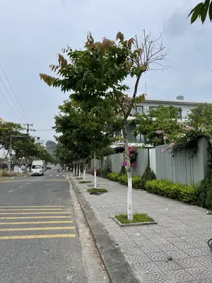 Bán nhà mặt tiền Mộc Sơn 2, Ngũ Hành Sơn – 100 m², 2 tầng, 6,5 tỷ – ảnh 5