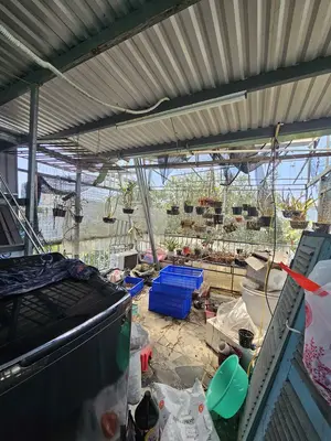 Bán nhà Ngô quyền, Sơn Trà – 23 m², 4 tầng, 2,25 tỷ – ảnh 13