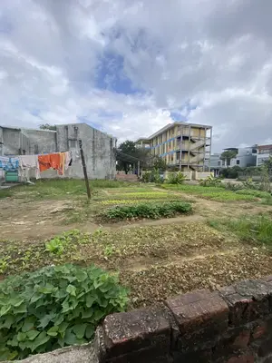 Bán đất Tôn Đản, Thanh Khê – 80 m², 3,5 tỷ
